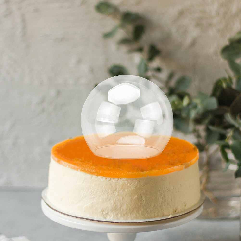 2Pcs Clear Glass Dome Display  - Plastic Dome Clear ulasan dan harga