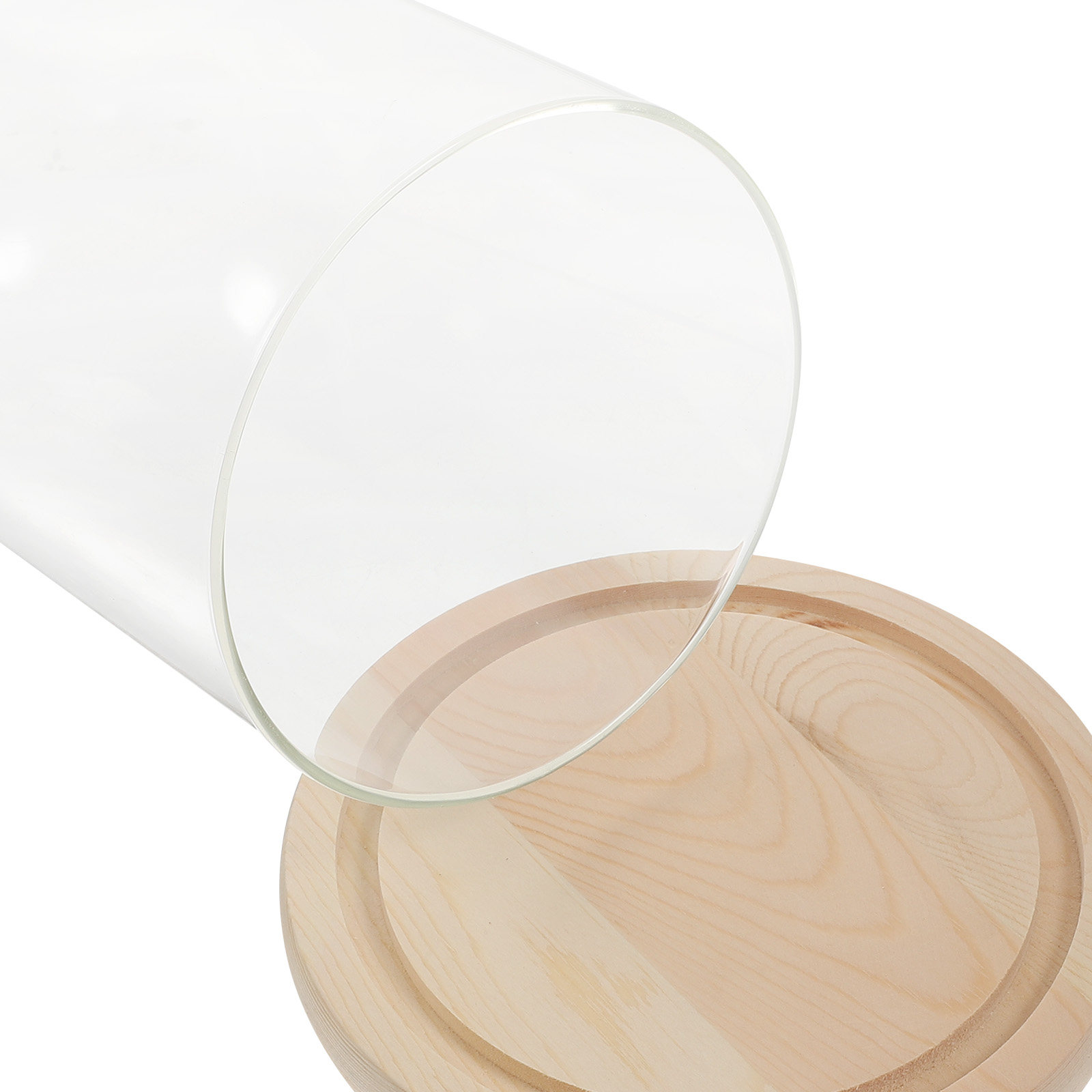 Glass Dome Display Case with B - Plastic Dome Clear ulasan dan harga