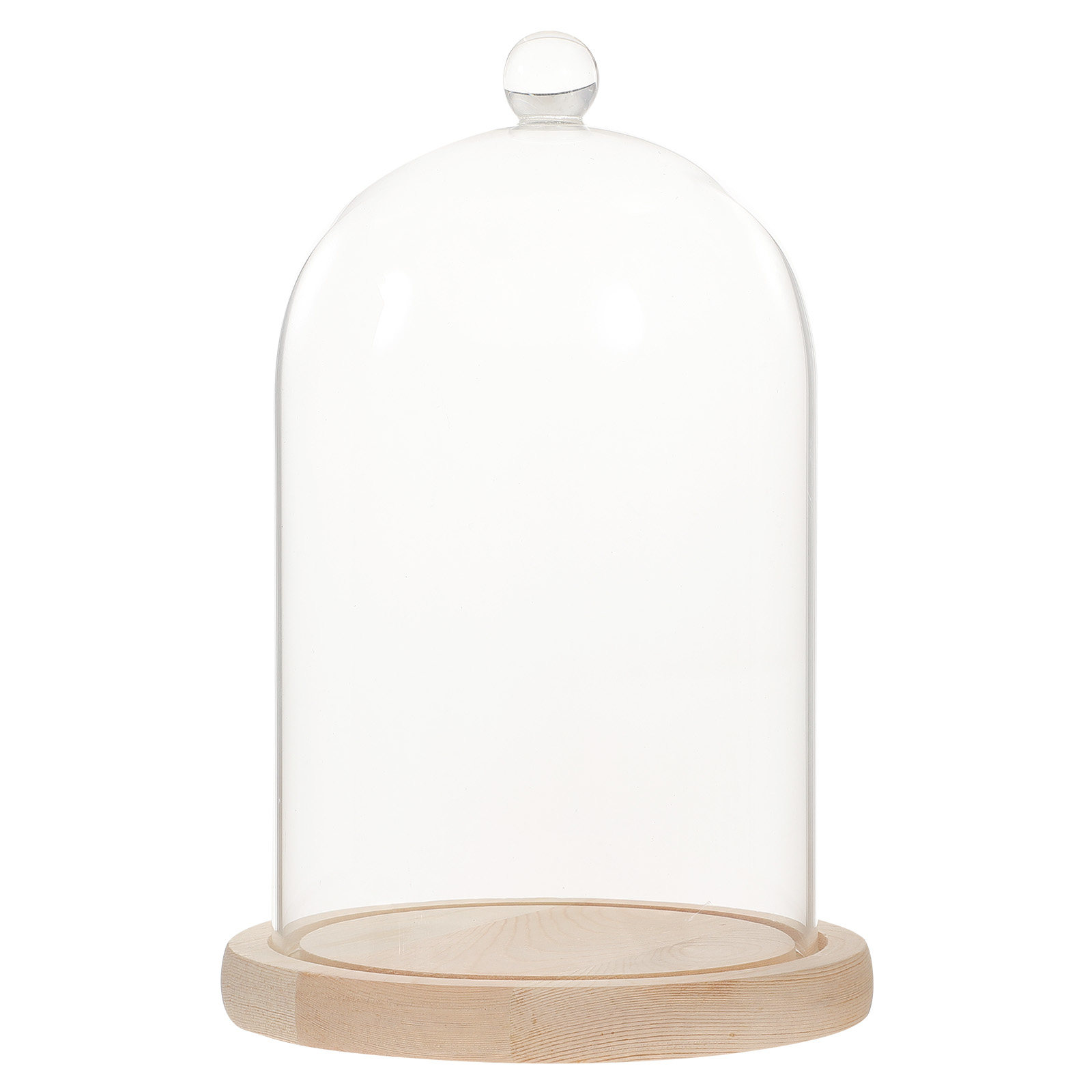 Glass Dome Display Case with B - Plastic Dome Clear ulasan dan harga